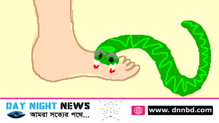 নোয়াখালীতে সাপের কামড়ে যুবকের মৃত্যু